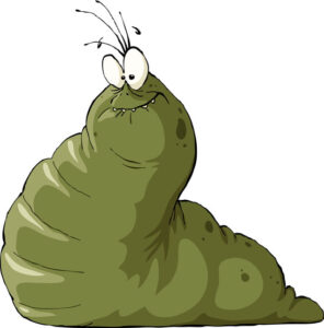 Garden Slug Trap Image